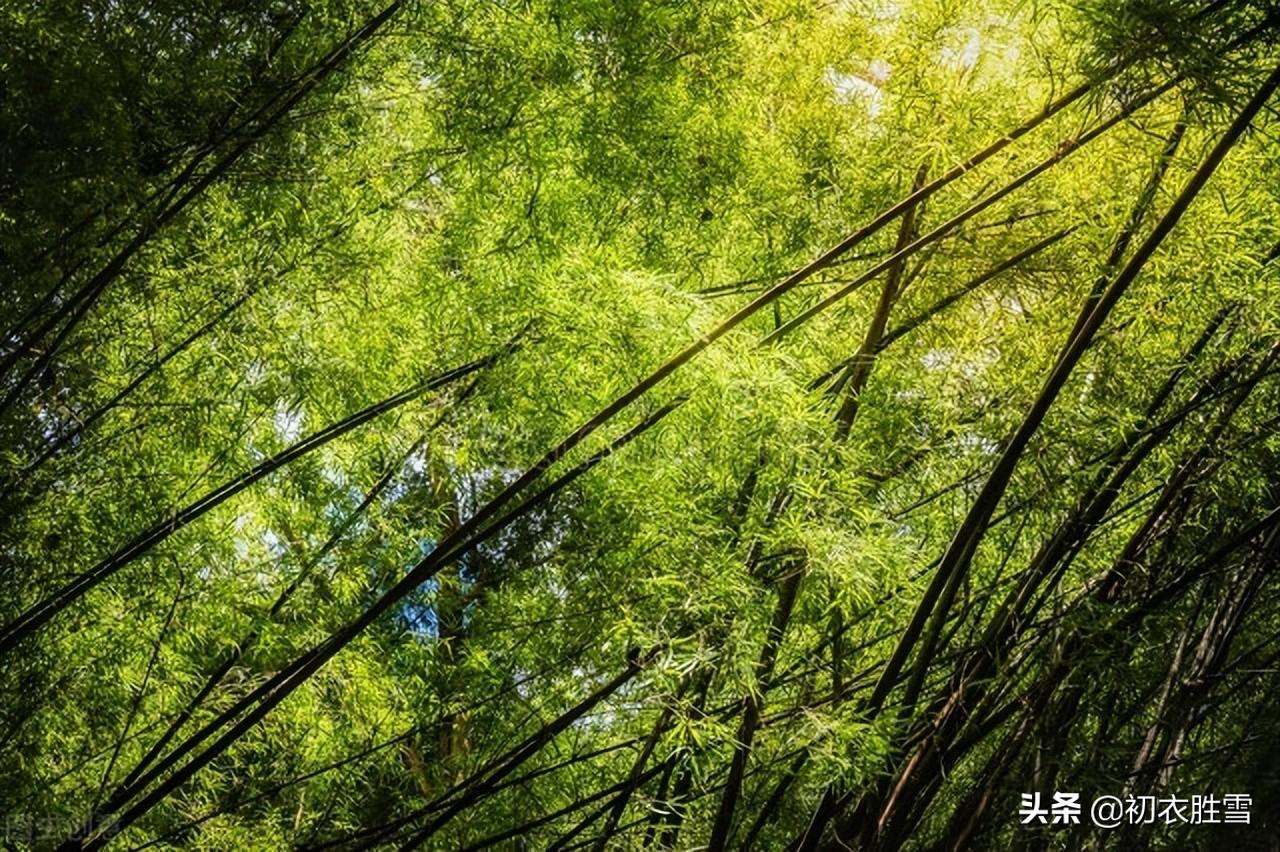 小暑节气物候温风古诗六首（赫赫温风扇，炎炎夏日徂）