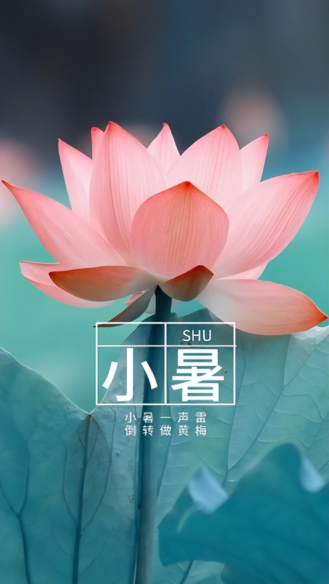 小暑时节优美诗词古句（盛夏伊始，万物并秀）