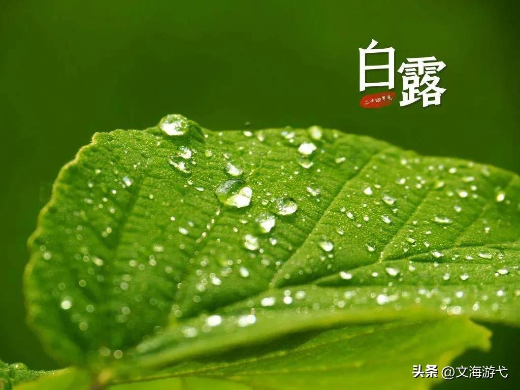 有气质的白露时节古诗句（经典白露的优美诗词）