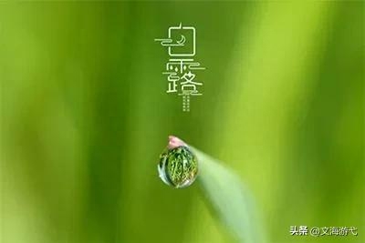 有气质的白露时节古诗句（经典白露的优美诗词）