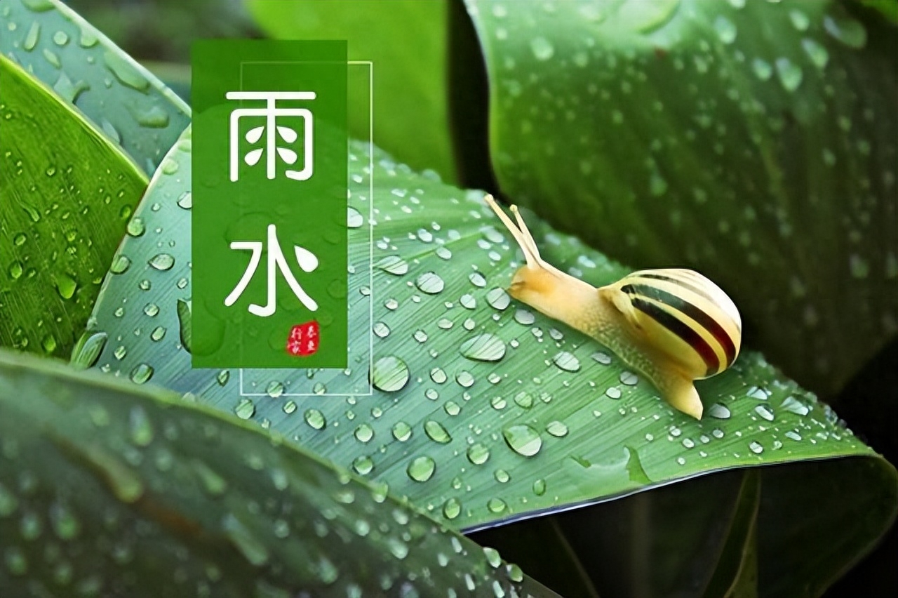 雨水诗词五言绝句（细雨添新绿，天晴好新生）