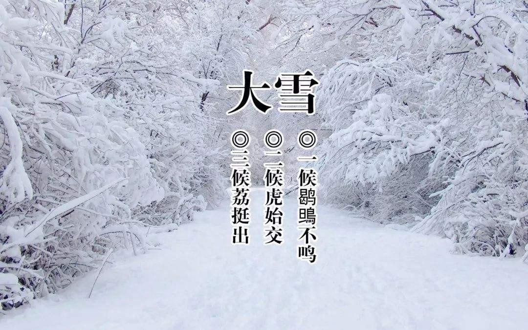 大雪古诗词五言诗词（11首经典大雪诗词）