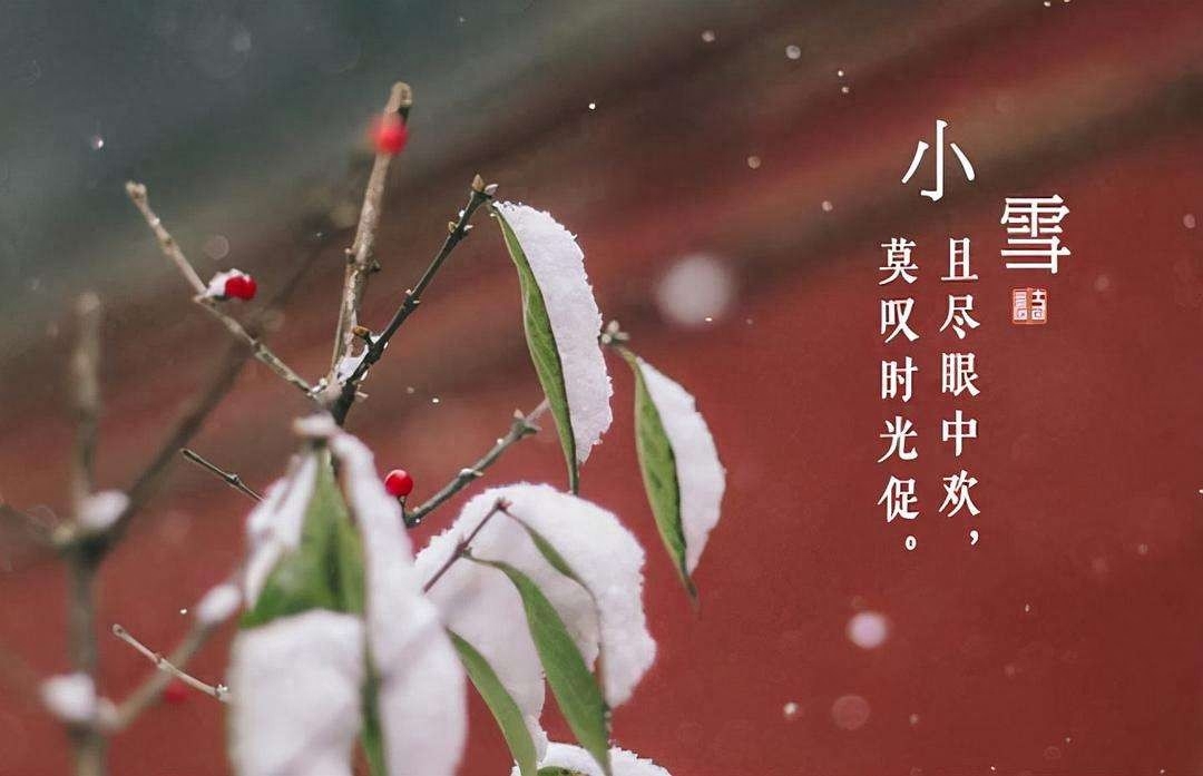 小雪节气古诗词鉴赏（十一月的小雪节气古诗词）