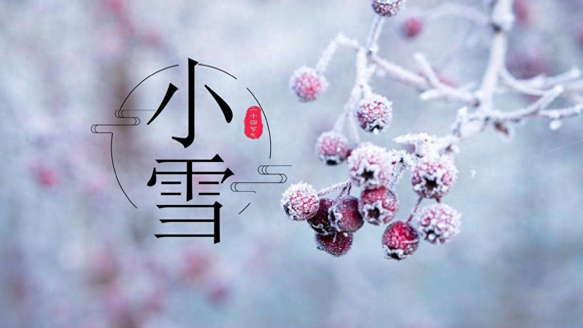 小雪节气古诗词鉴赏（十一月的小雪节气古诗词）