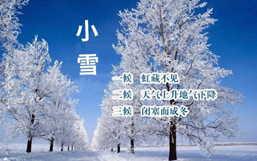 小雪节气古诗词鉴赏（十一月的小雪节气古诗词）