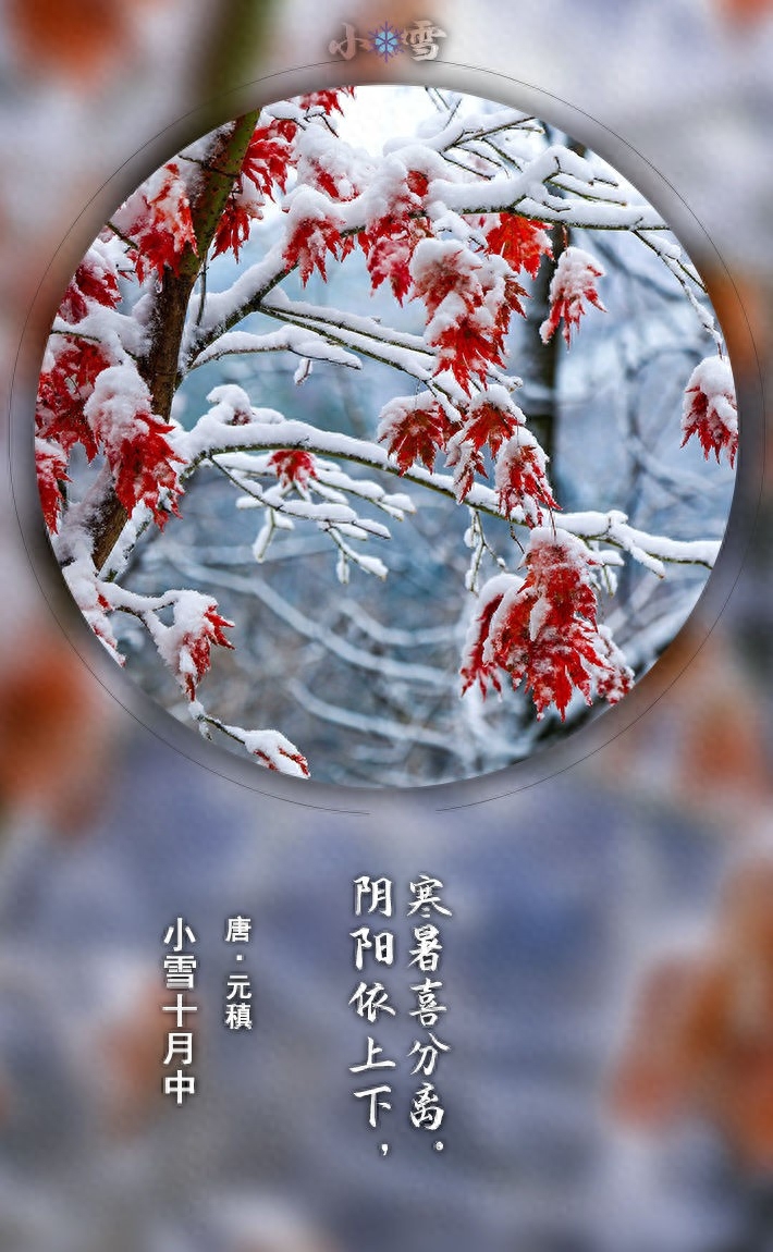 小雪节气古诗词鉴赏（十一月的小雪节气古诗词）