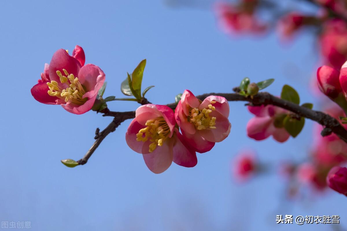 立冬节气美诗七首赏析（北方是孟冬寒气至，南方是十月小春天）