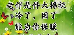 有关快乐与幸福好句子的短句有哪些（快乐与幸福好句子）