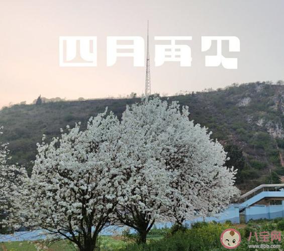 有关2023最后一天发朋友圈的说说的句子简短（岁月匆匆，愿时光静好）