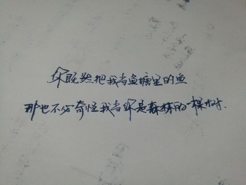 雨的忧伤优美的经典句子（用文字搭建情感世界）