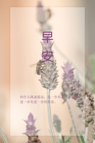 简单早安暖心话短句（朝阳初升，送你一份早安祝福）