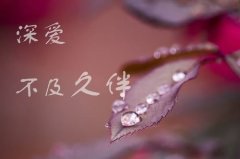 简短低调秀恩爱句子八个字（爱如春花，美而低调）