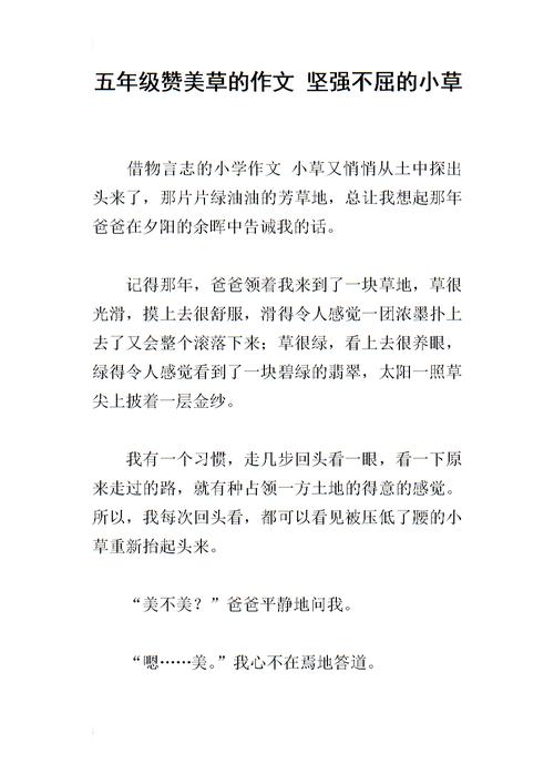 关于不畏艰难迎难而上的精神的名言警句（《迎难而上，坚韧不拔》）