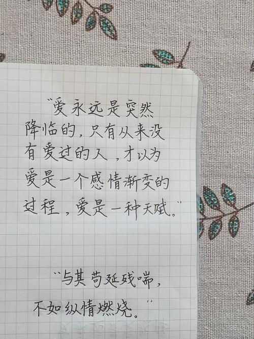 有关坚持自己喜欢的事好句的句子有哪些（追寻内心的光芒）