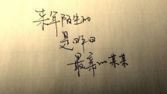 关于友情的绝美句子（缘分如诗，友谊如歌）