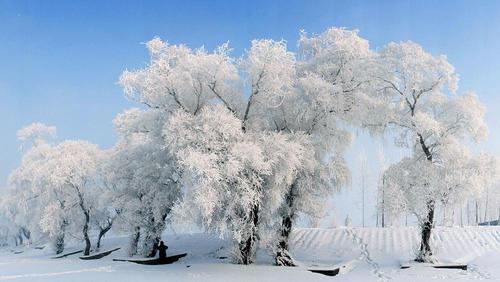 关于雪景的优美句子摘抄（白雪皑皑，童话世界）