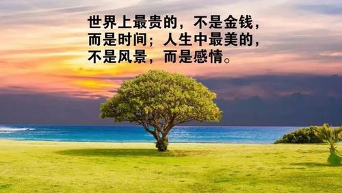 关于幸福的句子经典语录（探寻幸福的真谛）