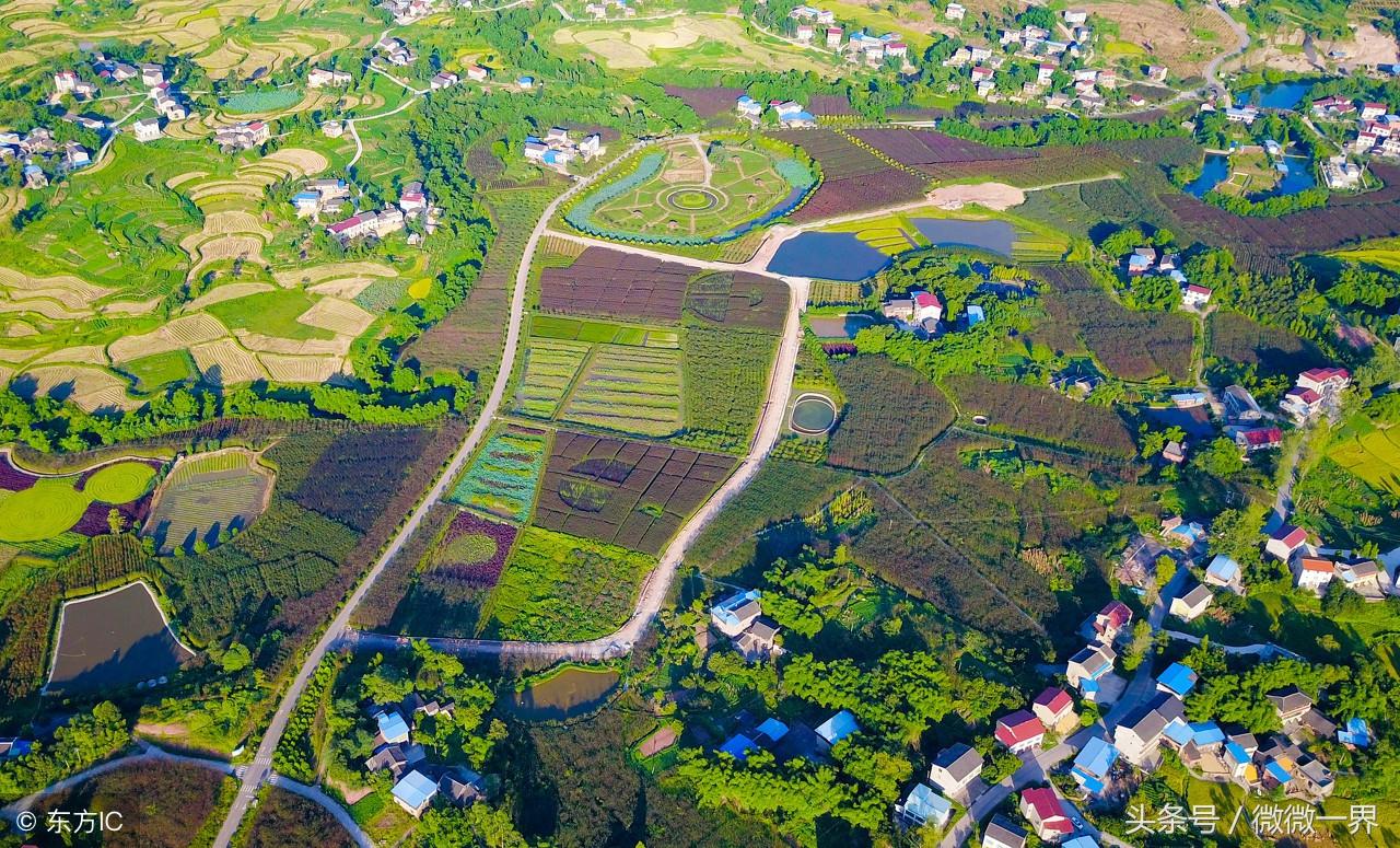 描写农村乡村的诗句（树绕村庄，水满陂塘）