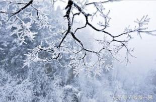 描写冬天的优美诗句（晨起开门雪满山，雪晴云淡日光寒）