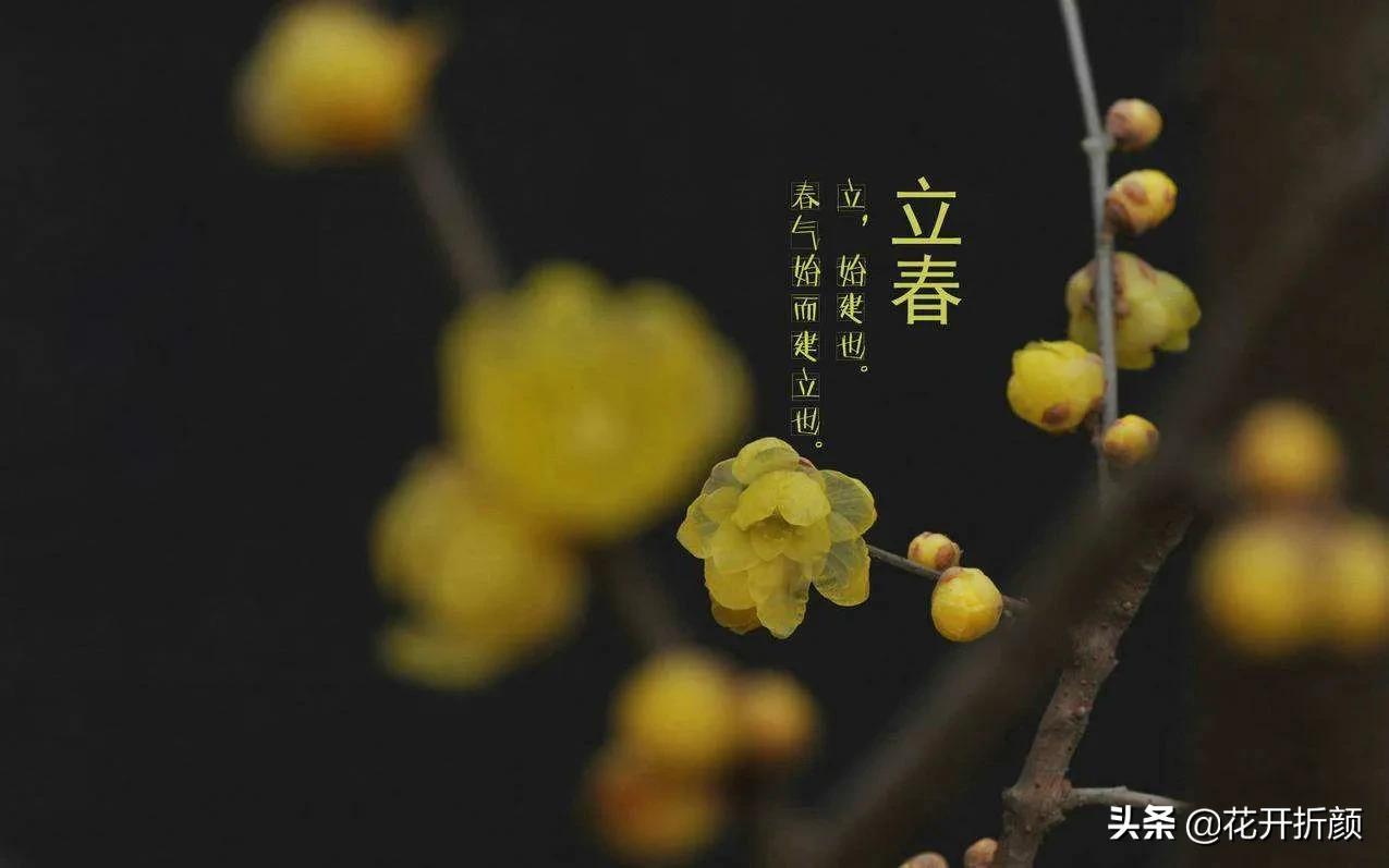 春末夏初，美好常留心间（经典6首春天诗词）