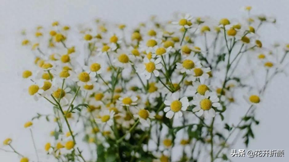 如沐春风，春雨滋润万物（分享八首优美的春天诗词）