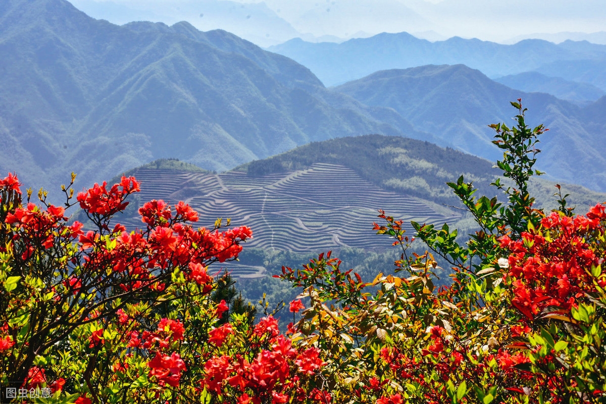 灯前一觉江南梦，惆怅起来山月斜（17首经典羁旅诗）