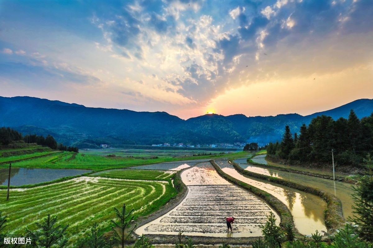 纵然一夜风吹去，只在芦花浅水边（20首经典田园古诗）