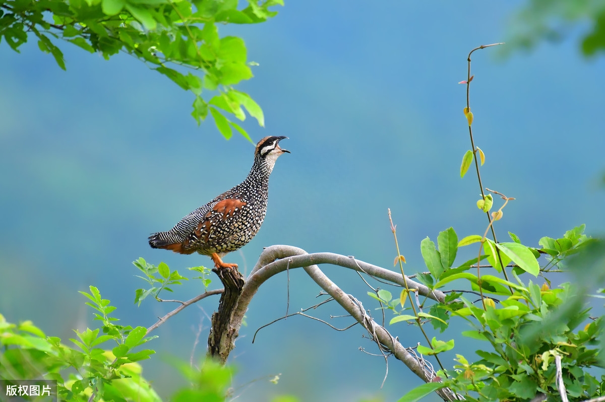 千古风流人物，一时多少雄豪（16首经典咏史怀古诗）