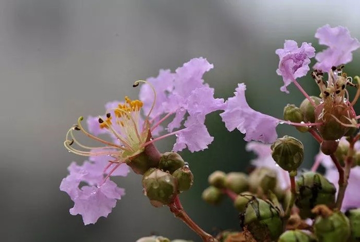 《醒世恒言》经典语录30句（世人切莫闲游荡，游荡从来误少年）