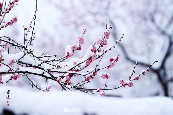 关于雪的十首优美诗词（孤舟蓑笠翁，独钓寒江雪）