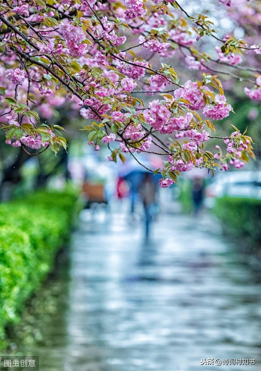 梨花风起正清明，游子寻春半出城（描写清明节31首古诗词）