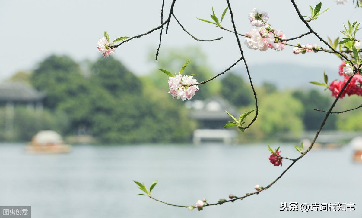 梨花风起正清明，游子寻春半出城（描写清明节31首古诗词）