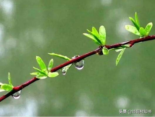 春雨唯美古诗有哪些（赞美春雨古诗词13首）