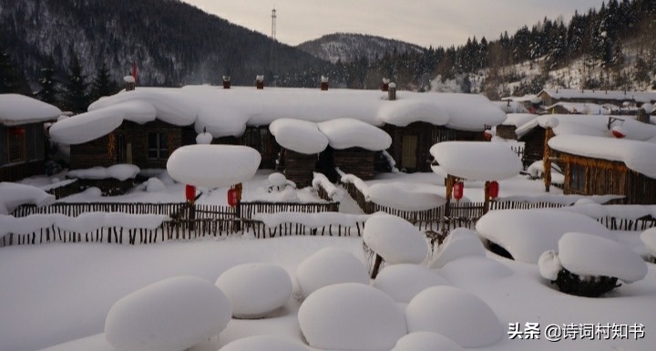 雪中经典古诗词9首（北国风光，千里冰封）