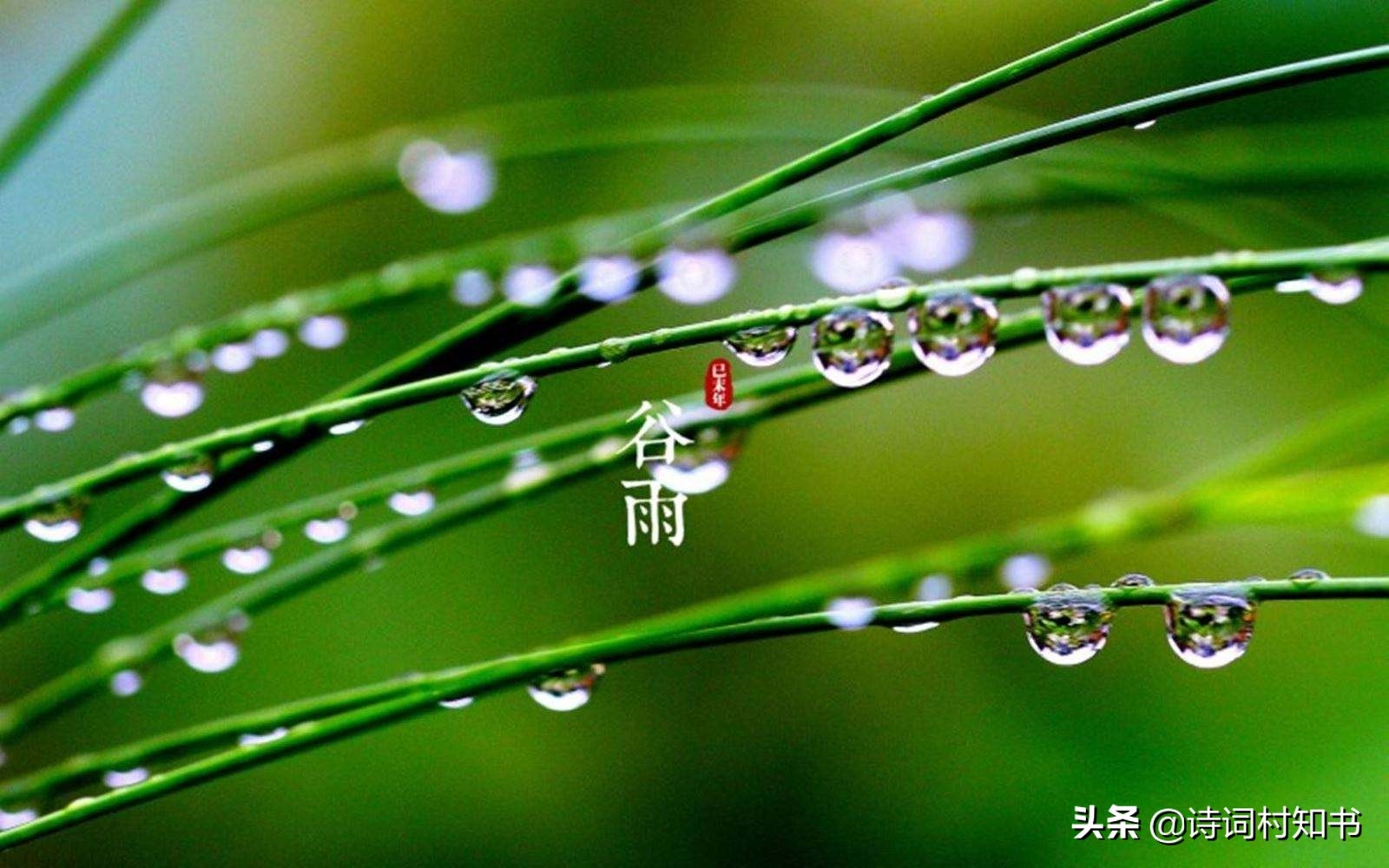 春天最后一个节气谷雨，留住最后一抹春色（分享10首谷雨诗词）