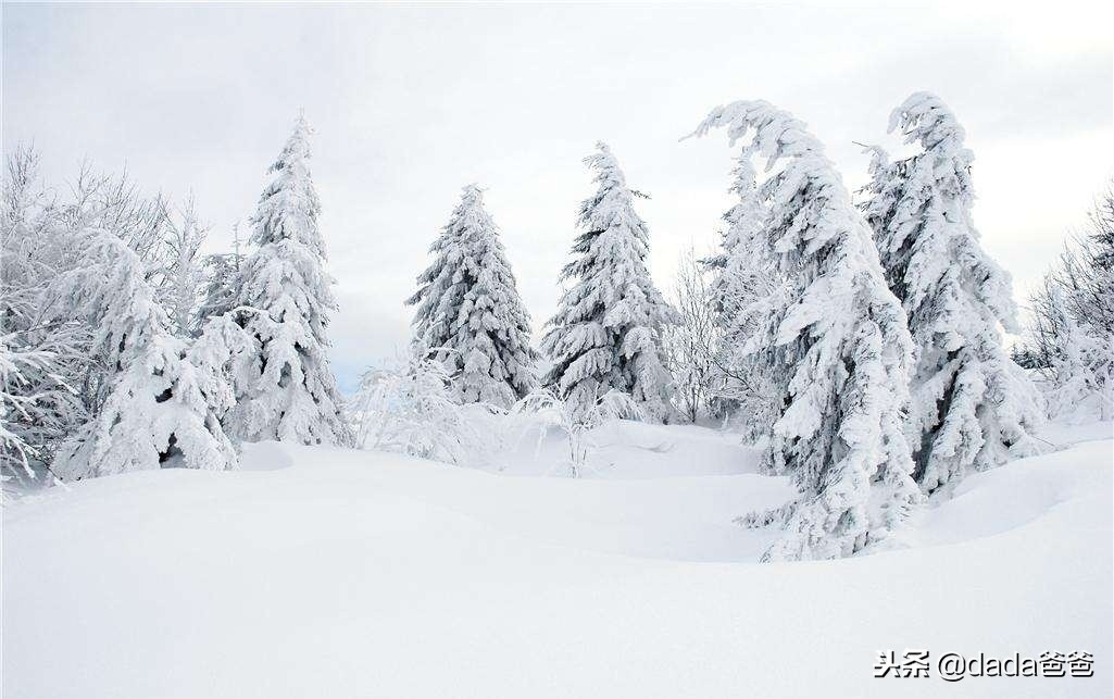 晨起开门雪满山，雪晴云淡日光寒（含雪的诗词26首）