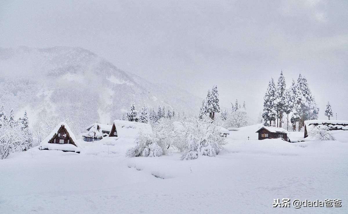 晨起开门雪满山，雪晴云淡日光寒（含雪的诗词26首）