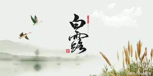 晓色淡朦胧，园林白露浓（有关白露的诗词16首）