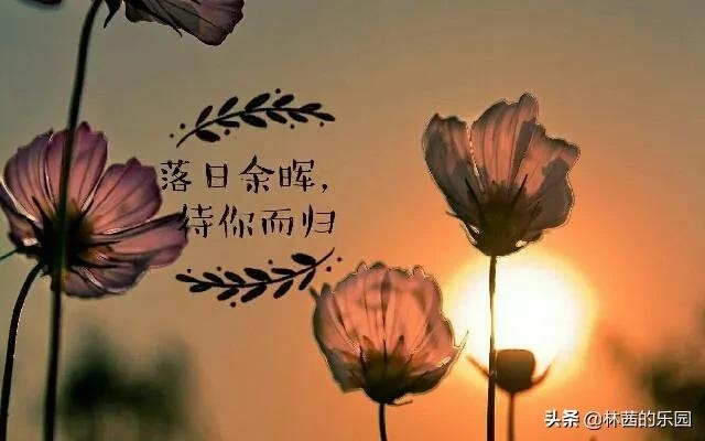 夕阳美如画，晚风醉流霞（优美的8首夕阳诗词）