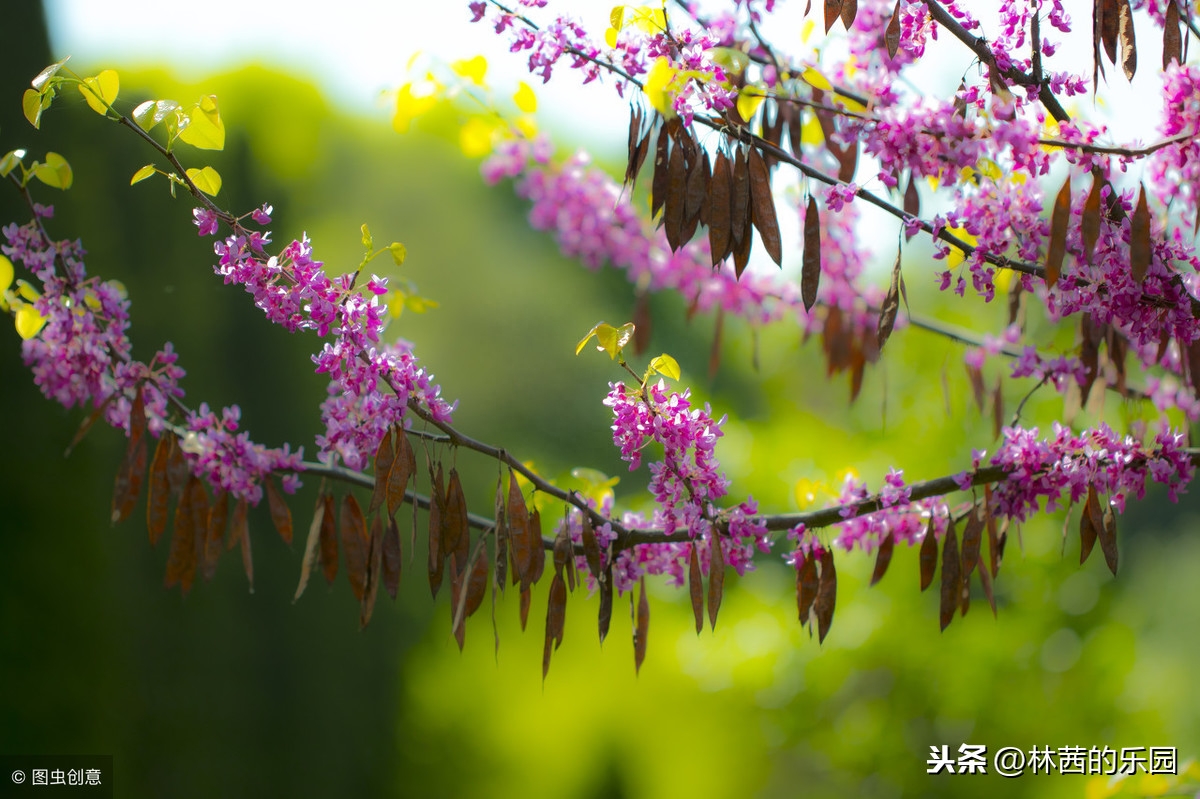 天涯地角有穷时，只有相思无觅处（10首歌咏相思的经典诗词）