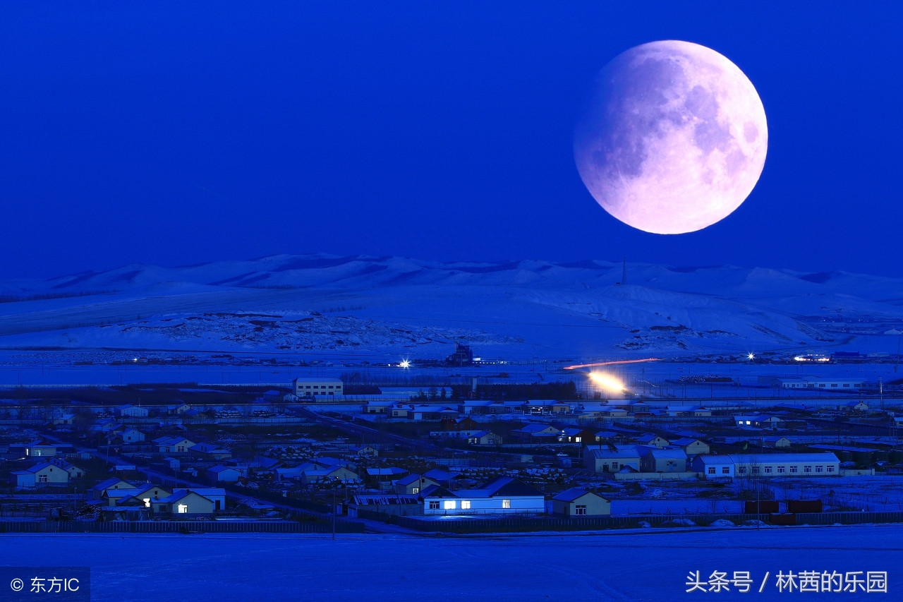 明月夜的8首浪漫诗词（不堪盈手赠，还寝梦佳期）