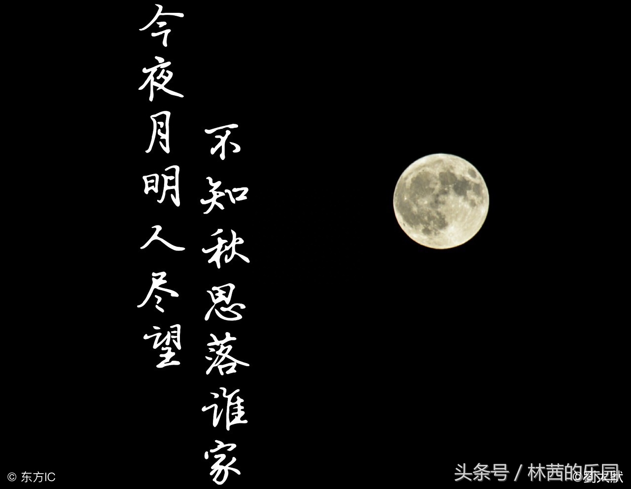 明月夜的8首浪漫诗词（不堪盈手赠，还寝梦佳期）