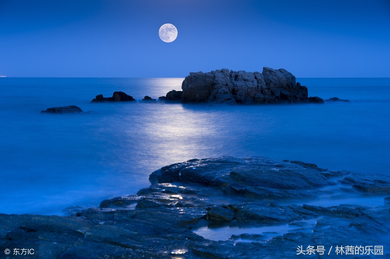 明月夜的8首浪漫诗词（不堪盈手赠，还寝梦佳期）