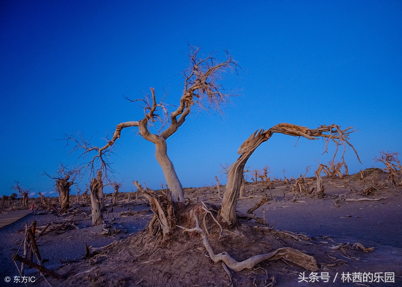 精选8首经典元曲赏析（夕阳西下，断肠人在天涯）