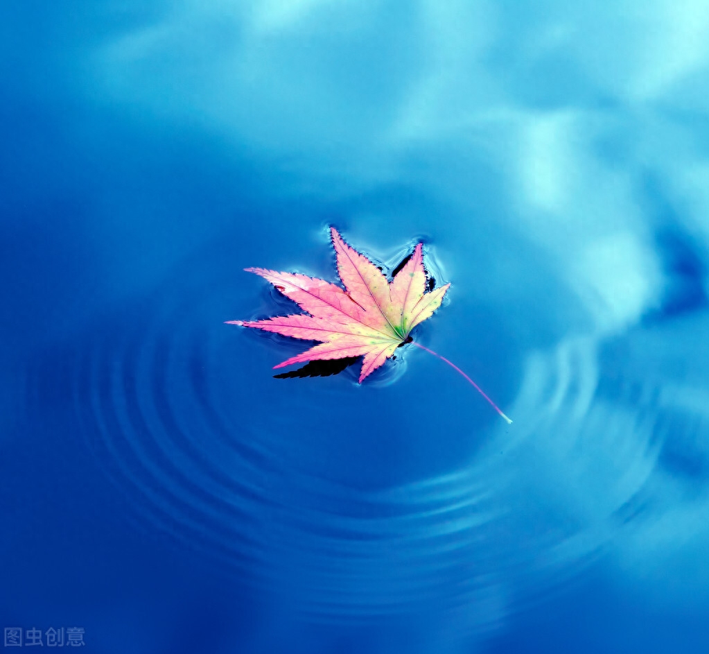 寒露唯美古诗词（朝饮花上露，夜卧松下风）