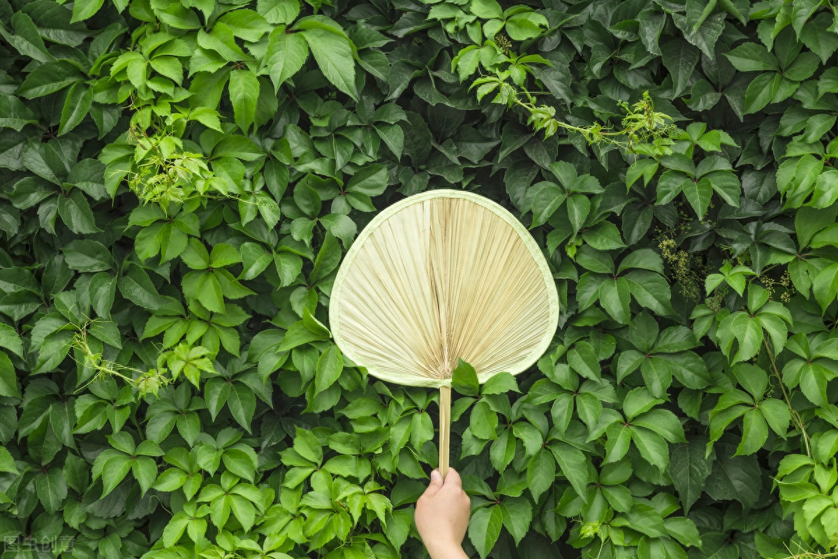 夏天优美的5首古诗词（荷风送香气，竹露滴清响）