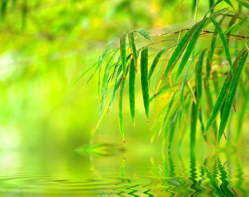 夏天意境优美的诗句（5首古诗词里夏天的雨）