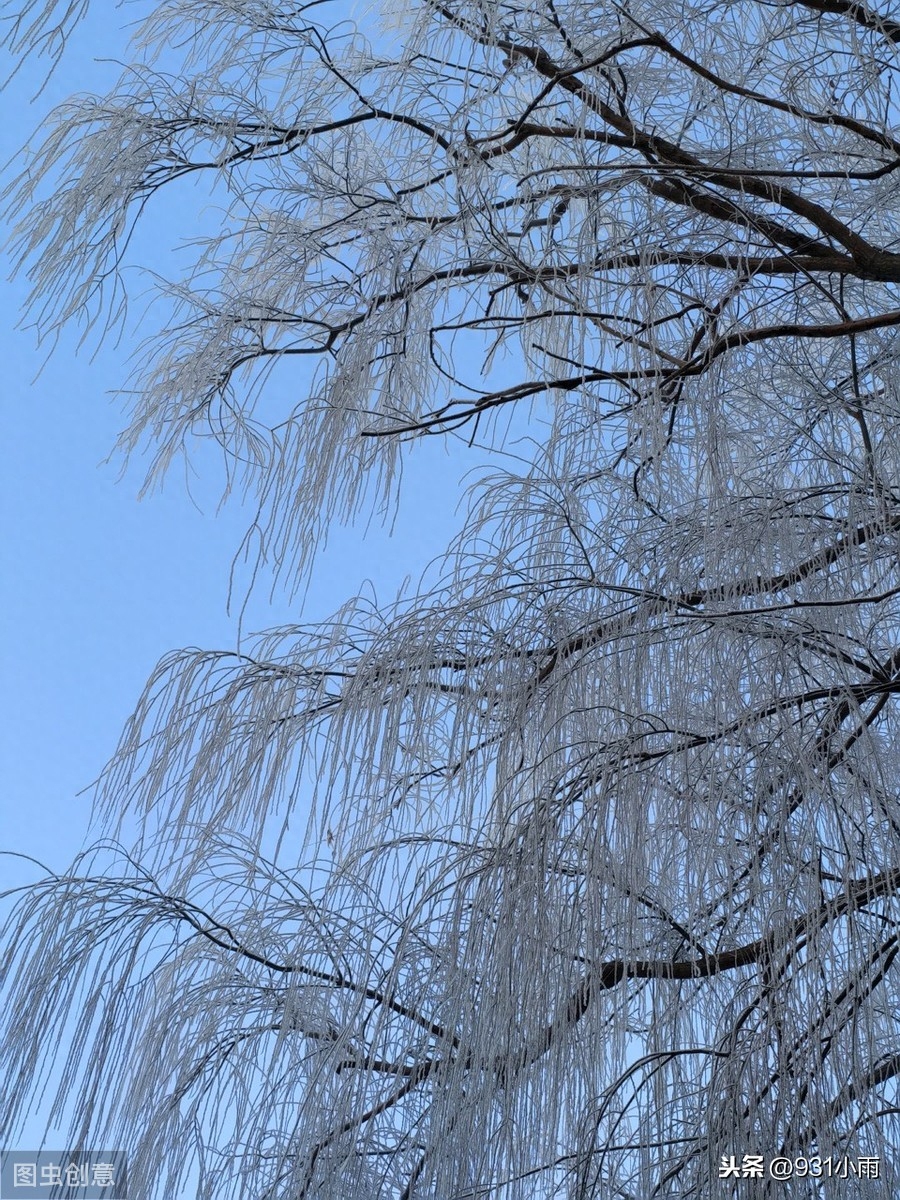 天气肃清，繁霜霏霏（4首冬季的古诗词）