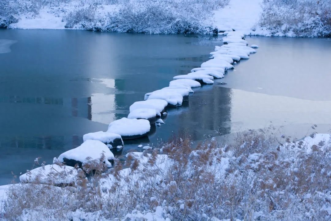 柳絮风起，枝头花开（10首咏雪诗词）