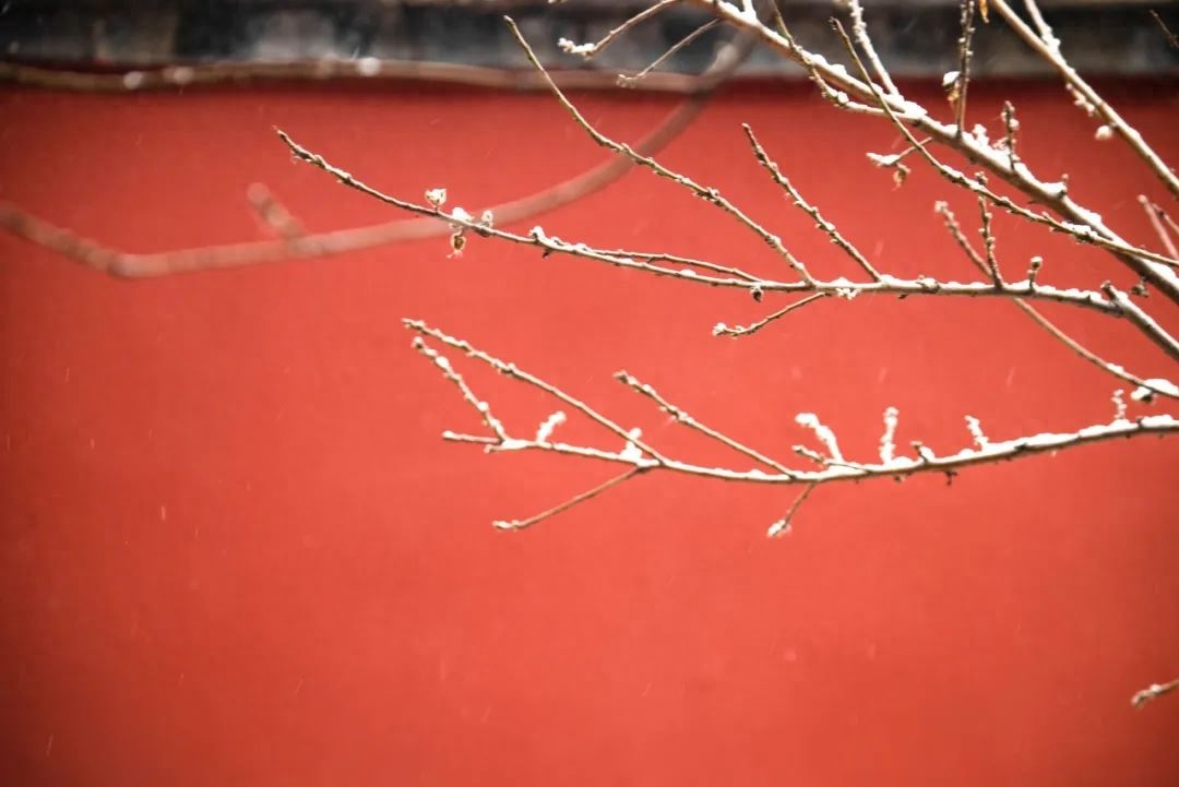 柳絮风起，枝头花开（10首咏雪诗词）